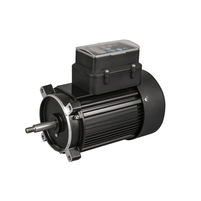 Variable Speed Motor 1_003