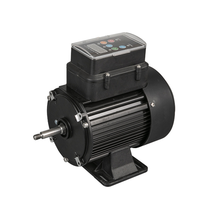 Variable Speed Motor 1_005