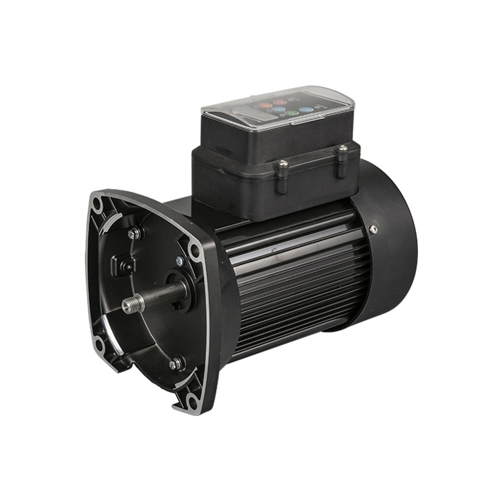 Variable Speed Motor 1_007