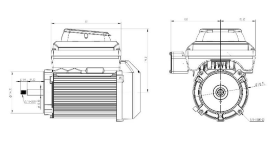 dsg (2)